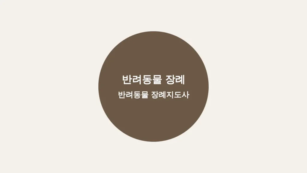 서쵸장례지도사