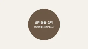 서쵸장례지도사